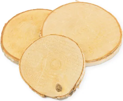 Produktbild von Deko Holzscheibe Birke rund ca. 7 bis 11 cm 10Stück ca. 1cm dick