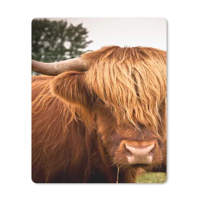 Produktbild von MuchoWow® Mauspad Mousepad Schottische Highlander - Braun - Gras 19x23 cm - Mousepads - Maus Mat - Pad - Mausunterlage - Mauspads - Spielen