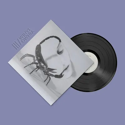 Zdjęcie produktu dla ++ TORTOISE Touch LP