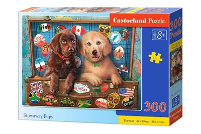 Obrázok produktu pre CASTORLAND Puzzle 300 dielikov - Čierni pasažieri
