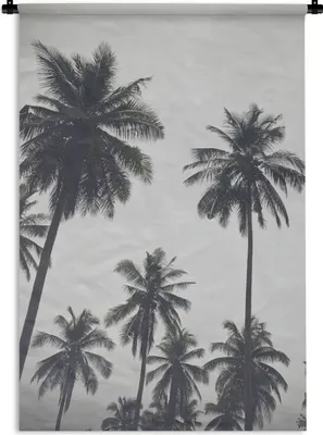 Produktbild von MuchoWow® Wandteppich Wandbehang Palme - Tropisch - Natur 120x180 cm Tapisserie Dekoration Wandtuch - Schlafzimmer - Dekorationen für das Haus
