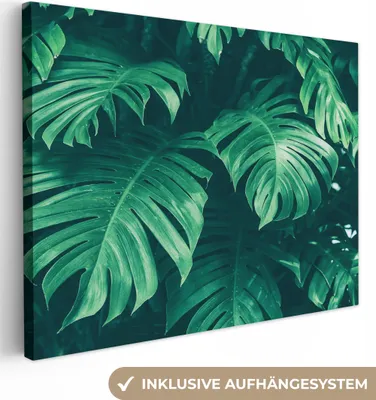 Produktbild von MuchoWow® - Leinwandbilder - Monstera - Blätter - Pflanzen - Dschungel - Natur, Wandbild, Wanddeko Bilder Wohnzimmer, 40x30 cm
