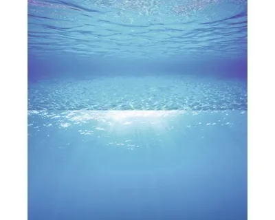 Produktbild von Juwel Rückwand Poster Wasser S 60 x 30 cm
