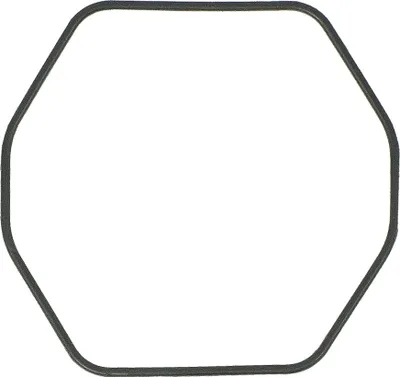 Produktbild von Dichtungsring Casio O-Ring schwarz PRG-100 10242431