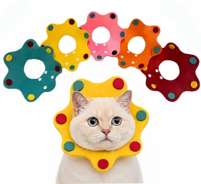 Produktbild von Set mit 5 weichen Halsbändern für Katzen, geeignet für die Nachsorge nach Operationen
