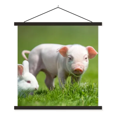 Produktbild von MuchoWow® Textilposter Ferkel - Kaninchen - Tiere 60x60 cm mit schwarzem Rahmen - Posteraufhänger