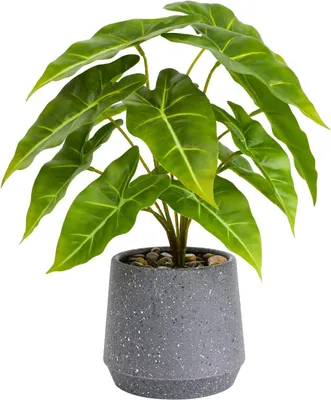 Produktbild von Kunstpflanze grün, 33 cm, in Topf, für Innenräume