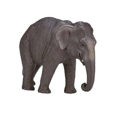 Zdjęcie produktu dla Mojo Fun Asian Elephant, 3 lat(a), Wildlife, Szary, Biały, Polichlorek winylu (PVC)