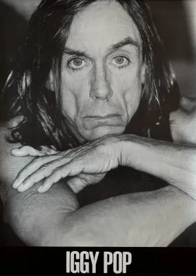 Productafbeelding van Iggy Pop - Poster - 60x85 cm