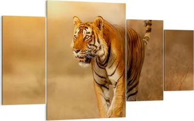 Produktbild von Bild auf Leinwand - Leinwandbild - tiger tier - 160x90cm - Wand Bild - Wanddeko - Wandbilder - Leinwanddruck - Bilder - Kunstdruck - Wanddekoration - Leinwand bilder - Wandkunst - DL160x90-3946