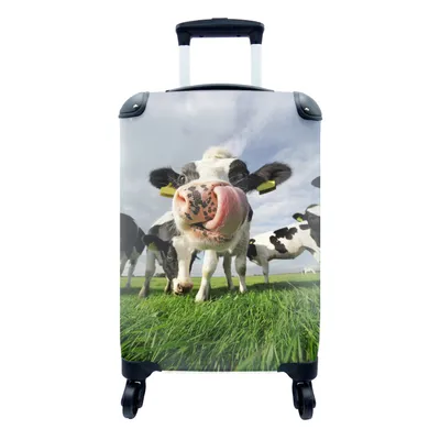 Produktbild von MuchoWow® Koffer Handgepäck Trolley Rollkoffer Kleine Reisekoffer mit 4 Rollen - Gras - Nase - Kuh - Cabin Size < 55x40x23 cm & 55x40x20 cm - Fotokoffer - Kabinenkoffer - Boardgepäck - Reise-Box - Reisekoffer - Reisegepäck - Koffer mit Bild - Trolley für Kinder