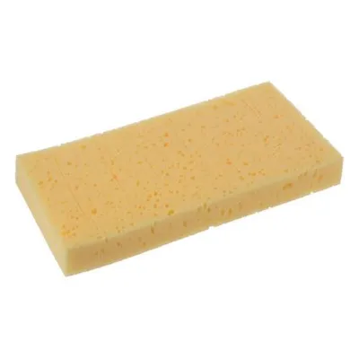 Obrázek produktu pro Houba mořská rastr náhradní 280x140x30mm(D)