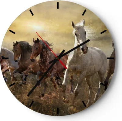 Produktbild von Wanduhr - Rund - Glasuhr - Pferd Tier Natur - 40x40cm - Schleichendes Uhrwerk - Lautlos - zum Aufhängen bereit - Dekoration Modern - Wanddekoration aus Glas - C3AR40x40-3640