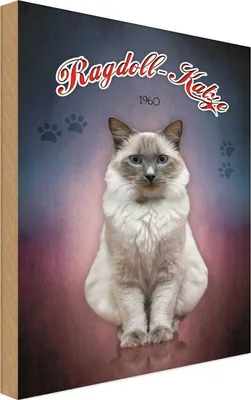 Produktbild von vianmo Holzschild 30x20 cm Katze Ragdoll 1960 Tier Haustier