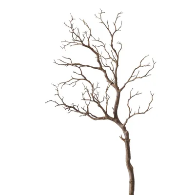 Produktbild von Dekozweig, Treibholz, 93 cm hoch