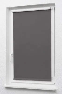 Produktbild von Lysel Outlet - Mini Rollo abdunkelnd Anthrazit, (B x H) 123cm x 190cm in grau/Anthrazit