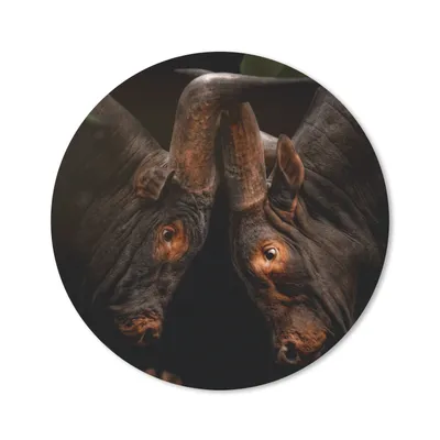 Produktbild von MuchoWow® Mauspad Mousepad Tiere - Dschungel - Kühe 30x30 cm - Mousepads - Maus Mat - Pad - Mausunterlage - Tischunterlage - Schreibtischmatten