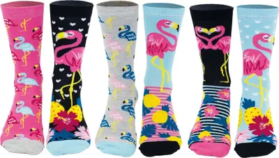 Produktbild von United Oddsocks Damen Socken, 6 Socken Pack - Strumpf, Mottomotive GoFlamingo 37-42