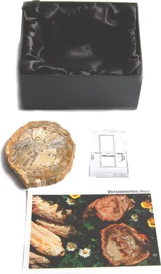 Produktbild von Edle Schätze der Erde, Sammlungsedition, Versteinertes Holz