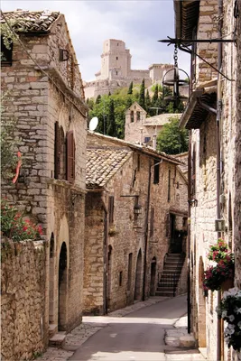 Produktbild von Wallario Poster - Italienische Gasse, Kunstdruck Größe: 61 x 91,50 cm