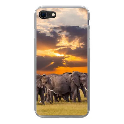 Produktbild von MuchoWow® Handyhülle Schutzhülle Hülle für iPhone SE 2020 Elefant - Tiere - Gras - Sonnenuntergang - Natur Silikon Softcase Handy Hülle - Kartenbesitzer