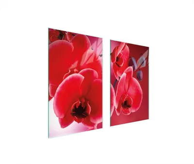 Image de Plaques de recouvrement pour cuisinière 2 pièces 75x52 Couverture de champ en vitrocéramique Planche à découper Orchidée rouge