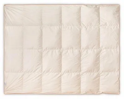 Produktbild von AMZ Mr. PILLOW warme Gänsefederdecke 155x200 cm