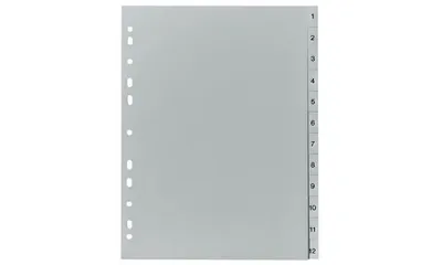 Immagine prodotto di herlitz Kunststoff-Register, Zahlen, A4, 31-teilig, grau