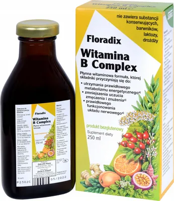 Zdjęcie produktu dla WITAMINA B COMPLEX W PŁYNIE BEZGLUTENOWA 250 ml - SALUS (FLORADIX)