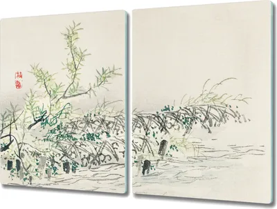 Produktbild von Coloray Hackbrett Herdabdeckplatte 2x40x52 cm Küchenbrett Kochplattenabdeckung Schneidebrett - Pflanzen in Wasser