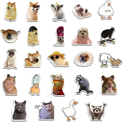 Produktbild von Magnetischer Katzen-Kühlschrank, 24 Stück Magnete für Kühlschrank, lustiger Katzen-Meme-Kühlschrankmagnet, Kühlschrankmagnete, flexibel für Küche, Hei