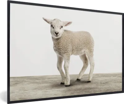 Produktbild von MuchoWow® Gerahmtes Poster Lamm - Schaf - Tiere - Kinder - Mädchen - Jungen 90x60 cm - Poster mit Schwarzem Bilderrahmen Wandposter Rahmen Foto Bilder - Fotorahmen - Foto-Plakat