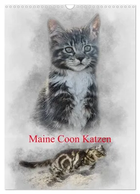 Zdjęcie produktu dla Koty rasy Maine Coon (kalendarz ścienny na rok 2027, format A3, orientacja pionowa), kalendarz miesięczny CALVENDO