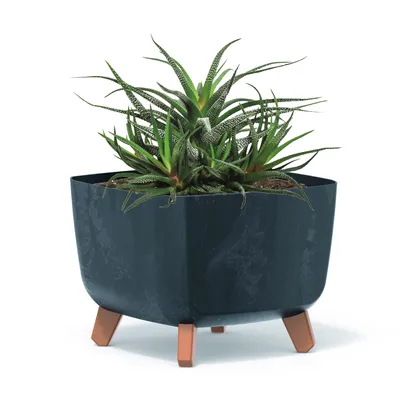 Obrázok produktu pre Kvetináč na nožičkách Kvetináč 39x27 cm Antracitový plastový bridlicový štvorcový s vložkou Betónová optika Kufre na peniaze Kaktusy Gumovník