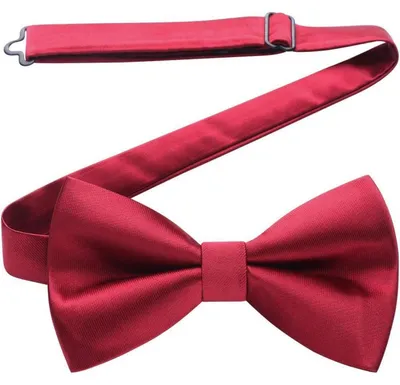 Immagine prodotto di Fascia da uomo, già annodata, regolabile, bordeaux, motivo paisley floreale