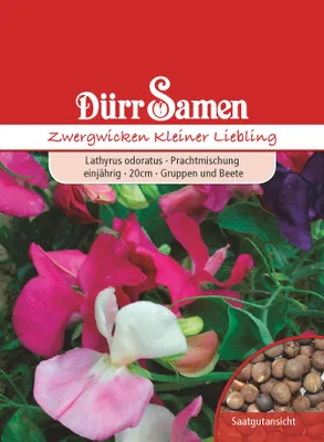 Produktbild von Zwergwicke Kleiner Liebling | Zwergwickensamen von Dürr Samen