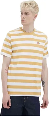 Image de T-shirt Dickies DK0A4YRNK411 pour Uni