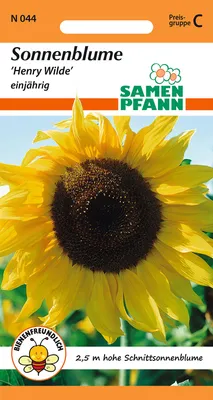 Artikelbild 1 von 'Sonnenblume Henry Wilde' aus der Kategorie Sonnenblumensamen