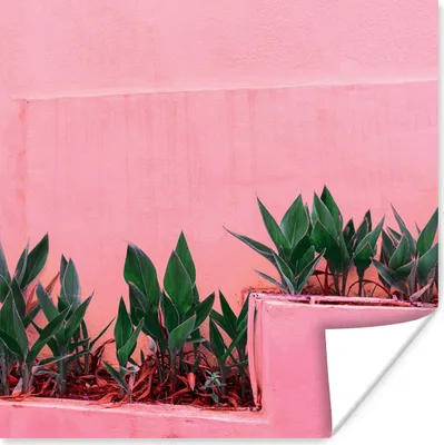 Produktbild von MuchoWow® Poster Pflanzen - Sommer - Farbe 75x75 cm - Wand Dekoration