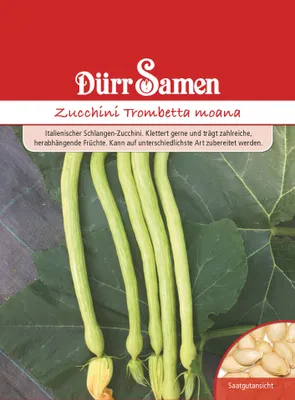 Artikelbild 1 von 'Zucchini Trombetta moana' aus der Kategorie Gemüsesamen