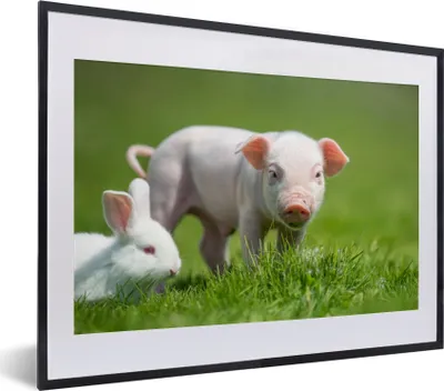 Produktbild von MuchoWow® Gerahmtes Poster Ferkel - Kaninchen - Tiere 40x30 cm - Poster mit Schwarzem Bilderrahmen Wandposter Rahmen Foto Bilder - Bilderrahmen - Poster im Rahmen