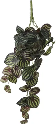 Produktbild von Mica Decoration Peperomia Kunstpflanze - Hangepflanze - 58 x 14 cm