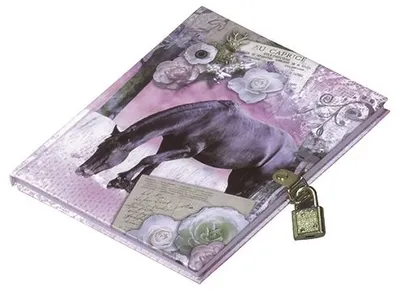 Immagine prodotto di Pagna® 20240-15 Diario La Passionata - 128 pagine