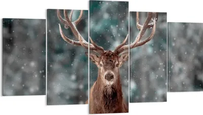Produktbild von Bild auf Leinwand - Leinwandbild - 5 Teile - Hirsch Hirsch Winter - 160x85cm - Wand Bild - Wanddeko - Wandbilder - Leinwanddruck - Bilder - Wanddekoration - Leinwand bilder - Wandbild - EA160x85-4998