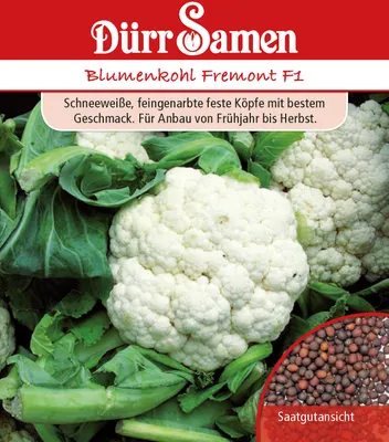 Produktbild von Blumenkohl Fremont F1 | Blumenkohlsamen von Dürr Samen