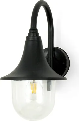 A black outdoor wall lamp with a clear glass shade and an exposed filament bulb, mounted on a white background.