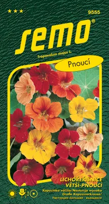 Produktbild von Saatgut Flechte Maiglöckchen - Grande 2g