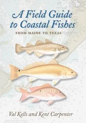 Produktbild von A Field Guide to Coastal Fishes