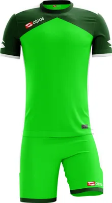 Produktbild von alpas Trikot + Hose Dynamic Grün Gr. XL/XXL