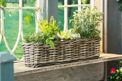 Produktbild von Rattan Pflanzkasten "Koboo Grey" 60 cm lang, grau, Balkonkasten, Blumenkasten für Draußen, Pflanzgefäß